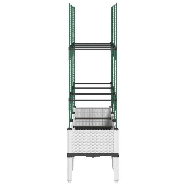 Showing Product Image 4 of 7