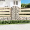 vidaXL Arched Gabion Basket 100x50x200/220 cm Galvanised Iron
