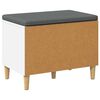 vidaXL Hall Bench with Cushion with Storage White 60 x 38 x 46 cm