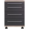 Germania Rolling Filing Cabinet Duo 42x45x60 cm Anthracite