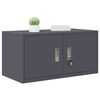 vidaXL Storage Cabinet Anthracite 80 x 40 x 40 cm Cold-Rolled Steel
