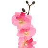 Product Thumbnail Image 4 of 5