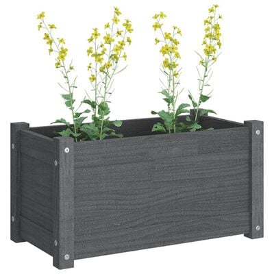 vidaXL Garden Planters 2 pcs Grey 60x31x31 cm Solid Pinewood