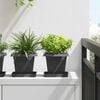vidaXL Square Flower Pot 6 pcs Black 16 x 16 x 14 cm Plastic