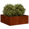 Product Thumbnail Image 3 of 11