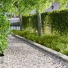 Product Thumbnail Image 2 of 11