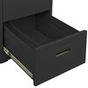 vidaXL Filing Cabinet Anthracite 46x62x102.5 cm Steel