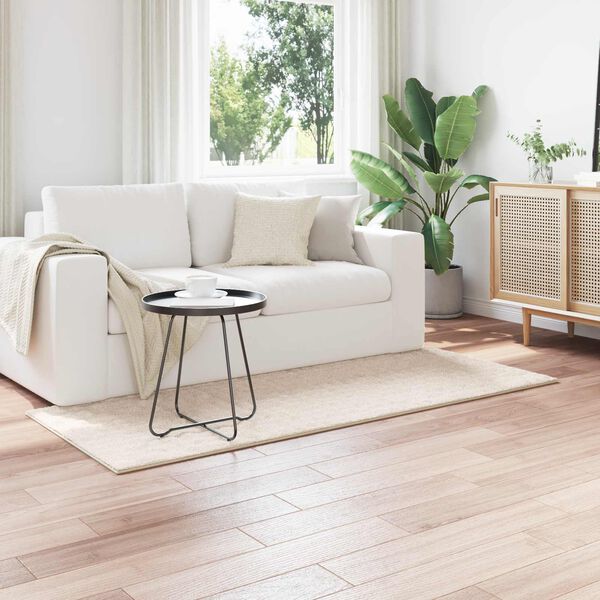 vidaXL Area Rugs Rectangular HUARTE Beige 150 x 80 cm Polyester