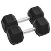 vidaXL Dumbbells 2 pcs 12.5 kg Total Cast Iron