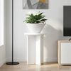 Product Thumbnail Image 2 of 10