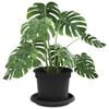 Product Thumbnail Image 3 of 12