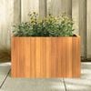 Product Thumbnail Image 3 of 9