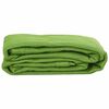 vidaXL Tent Carpet Light Green 250x350 cm HDPE