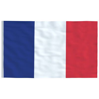 vidaXL France Flag 90x150 cm