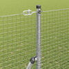 Product Thumbnail Image 4 of 15