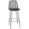 vidaXL Bar Chair 2 pcs Black 44.5 x 53 x 111 cm Rattan and Iron