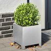 Product Thumbnail Image 2 of 13