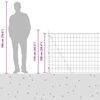Product Thumbnail Image 17 of 17