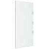 vidaXL Side Panel for Door Canopy Transparent 50x100 cm Tempered Glass