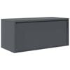 vidaXL Storage Cabinet with Storage Anthracite 90 x 40 x 40 cm Steel
