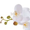 Product Thumbnail Image 2 of 3
