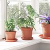 Product Thumbnail Image 4 of 12