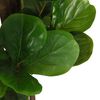 Product Thumbnail Image 3 of 5