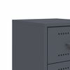 vidaXL Bedside Cabinets 2 pcs Anthracite 36x39x60.5 cm Steel