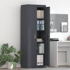 vidaXL Storage Cabinet with Storage 2 pcs Anthracite 60 x 40 x180 cm