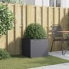 Product Thumbnail Image 3 of 11
