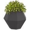 vidaXL Planter Black 50 x 50 x 40 cm Steel