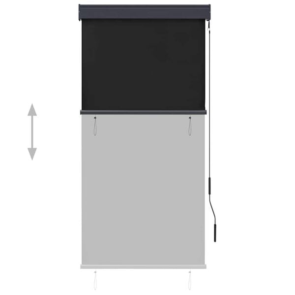 vidaXL Outdoor Roller Blind 80x250 cm Anthracite