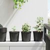 vidaXL Flower Pot 200 pcs Black &Oslash; 15 x 13 cm Plastic