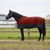 vidaXL Horse Blanket Bordeaux and Black 165 cm Polyester