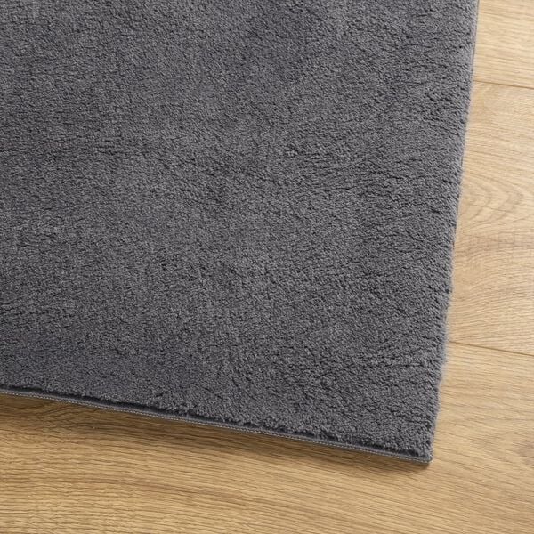 vidaXL Rug HUARTE Short Pile Soft and Washable Anthracite 60x110 cm