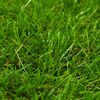 Product Thumbnail Image 3 of 3