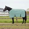 vidaXL Horse Blanket Special Green Polyester
