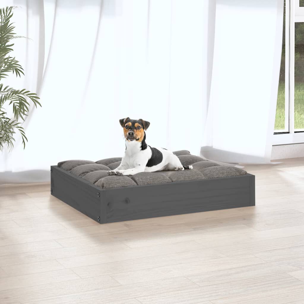 Solid dog 2025 beds
