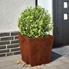 Product Thumbnail Image 2 of 14