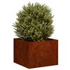 Product Thumbnail Image 3 of 11