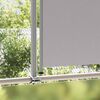 vidaXL Patio Retractable Side Awning 160 x 300 cm Grey