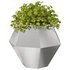 vidaXL Planter 2 pcs Silver 100 x 100 x 80 cm Stainless Steel