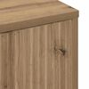 vidaXL Bathroom Cabinet Wall-mounted Artisan Oak 39 x 23.5 x 65 cm