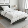 Product Thumbnail Image 2 of 12