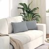 vidaXL Sofa Pillows 2 pcs Light Grey 50 x 30 cm Fabric