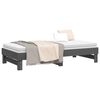 vidaXL Pull-out Day Bed without Mattress Grey 2x(90x190) cm