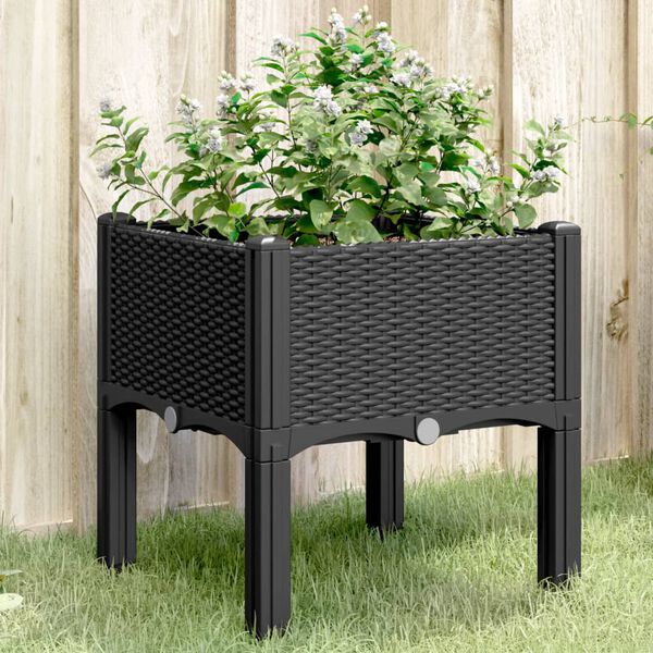 Showing Product Image 2 of 8