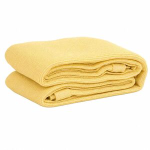 vidaXL Tent Carpet 200x200 cm Beige