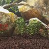 Product Thumbnail Image 2 of 5