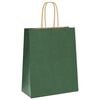 vidaXL Paper Bags 250 pcs with Handles Green 18x8x22 cm